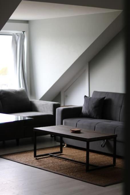 Unique Modern Luxury 2 Bedroom Apartment Rental Chapleau 외부 사진